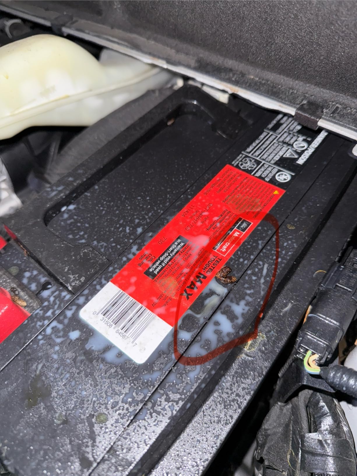 Mighty Mint Peppermint Oil Rodent Repellent Spray with Microfiber Cloth – Natural Indoor & Outdoor Control for Mice and Rats – Plant-Based, Extra-Strong Formula - 1 Gallon (128 oz) - Customer Photo 3