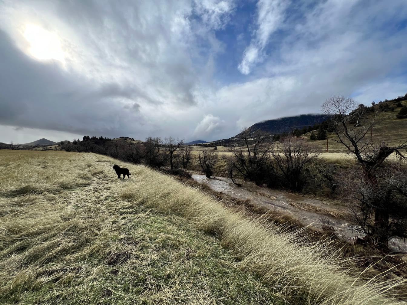 WILD BADGER POWER 26cc Weed Wacker Gas Powered, 3 in 1 String Trimmer/Edger 17'' with 10'' Brush Cutter,Rubber Handle & Shoulder Strap Included - Customer Photo 2