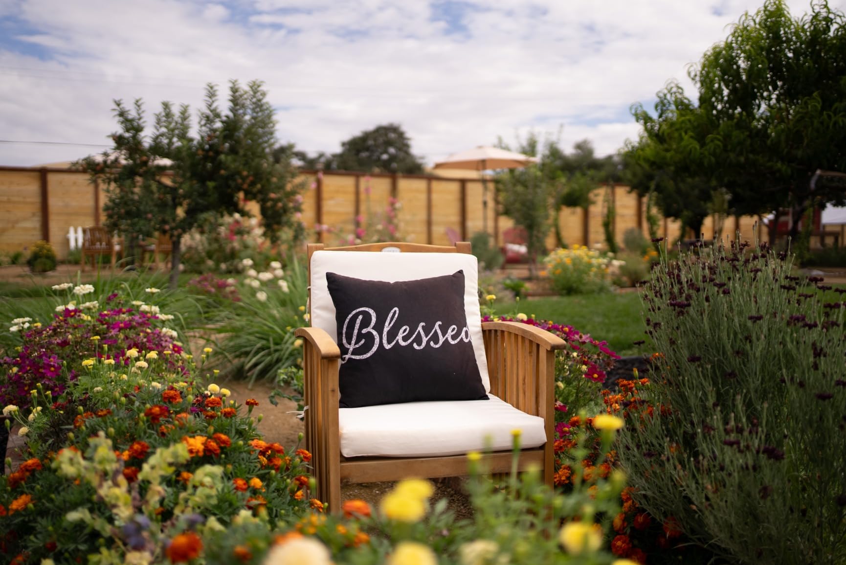 Sony FE 35mm F1.8 Large Aperture Prime Lens (SEL35F18F) - Customer Photo 5