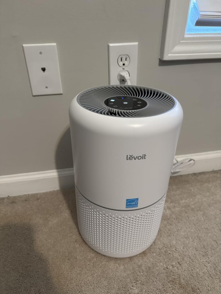  Best HEPA Air Purifiers for Allergies