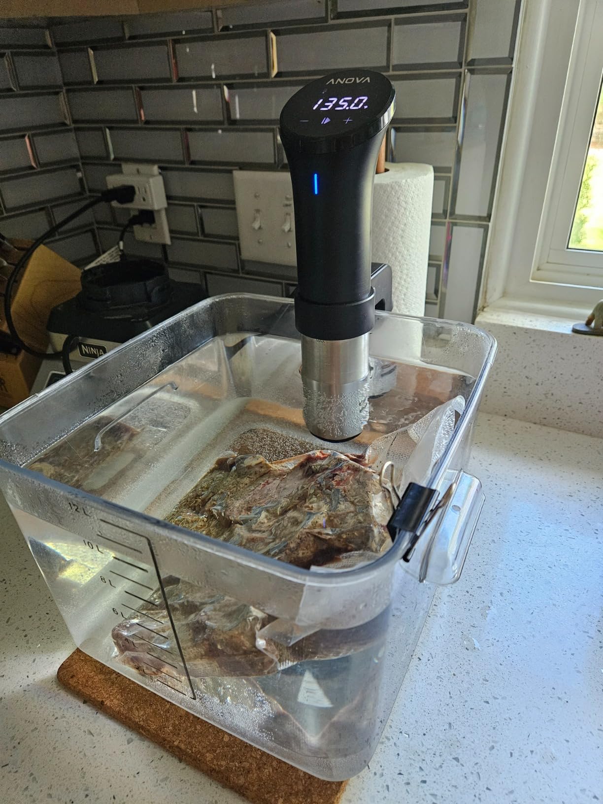 Anova Culinary Sous Vide Precision Cooker 2.0 (WiFi), 1000 Watts - Customer Photo 2