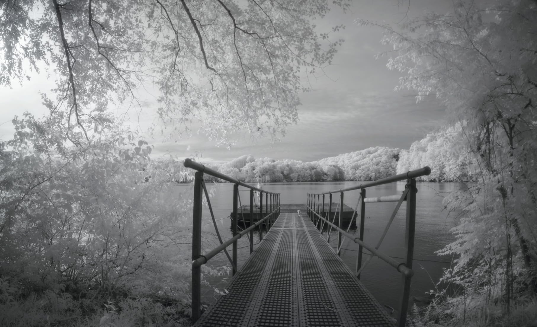 Sony Alpha A6100 Mirrorless Camera - Customer Photo 1