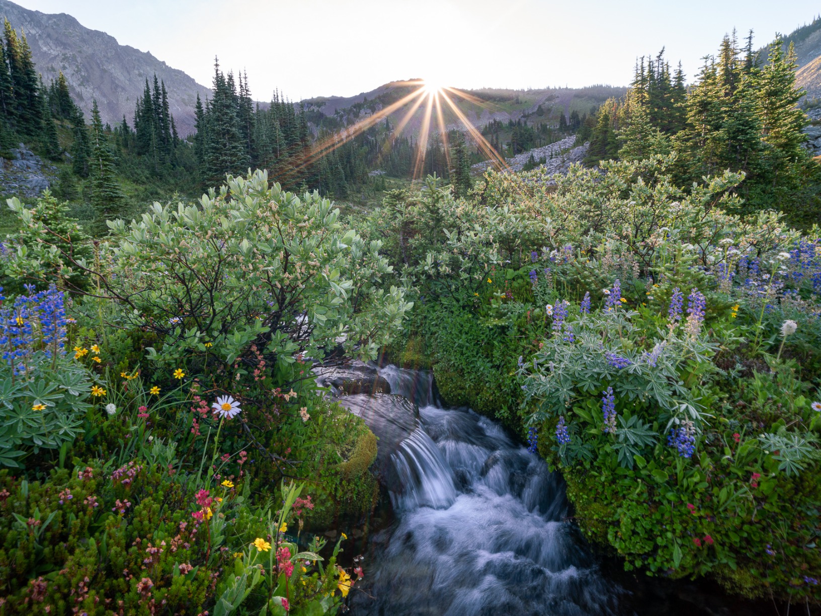 Samyang AF 18mm F2.8 Auto Focus Full Frame Wide Angle Lens for Sony E Mount – Compact, Ultra Lightweight, 58mm Filter Thread, High Resolution Optics, Quiet STM Autofocus - Customer Photo 2