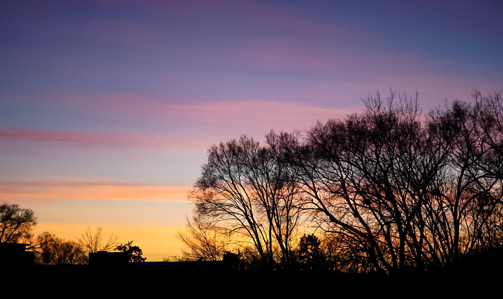 Sony - FE 50mm F1.8 Standard Lens (SEL50F18F/2) - Customer Photo 1