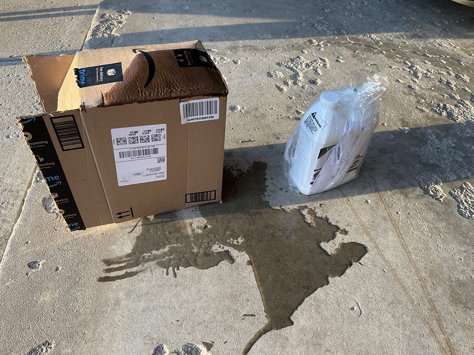 Peppermint Repellent for Mice/Mouse, Rats & Rodents. Natural Spray for Indoor & Outdoor Use. Natural Armor Rodent Shield. 128 OZ Gallon - Customer Photo 1