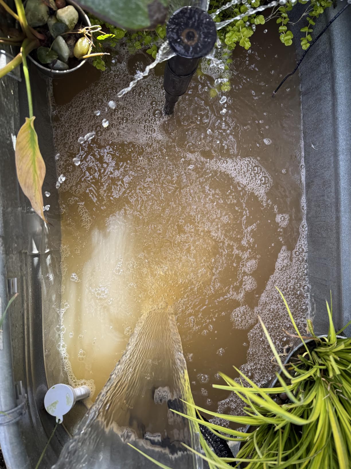 VIVOHOME Pressurized Biological Pond Filter with 13-watt Light, 1580 GPH Suitable for Koi Ponds up to 800 Gallons or Ornamental Ponds up to 1600 Gallons - Customer Photo 2