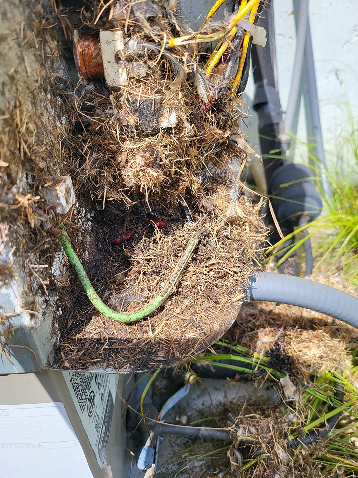 Victor Mouse and Rat Repellent Spray - M809 - Natural, Non-Toxic Rodent Repellent Spray for Indoor and Outdoor Use - Ready to Use - 32 fl oz Bottle - Up to 67 Linear Ft Coverage - Customer Photo 3