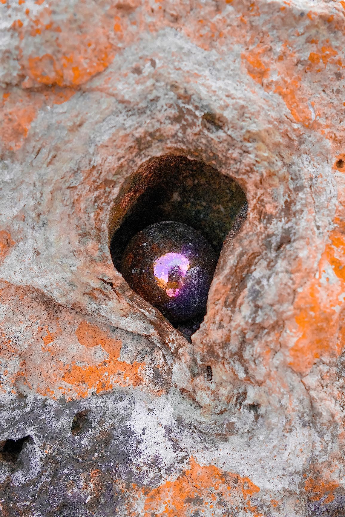 Fujifilm X-Pro3 Digital Camera - Black - Customer Photo 1