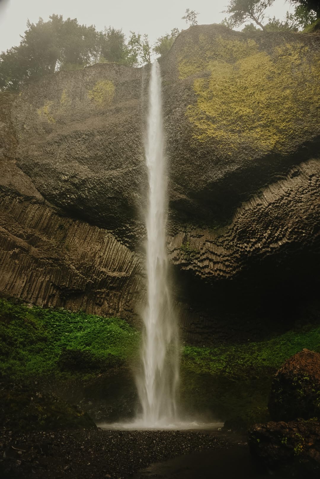 Tamron 20mm f/2.8 Di III OSD M1:2 Lens for Sony Full Frame/APS-C E-Mount customer photo 1