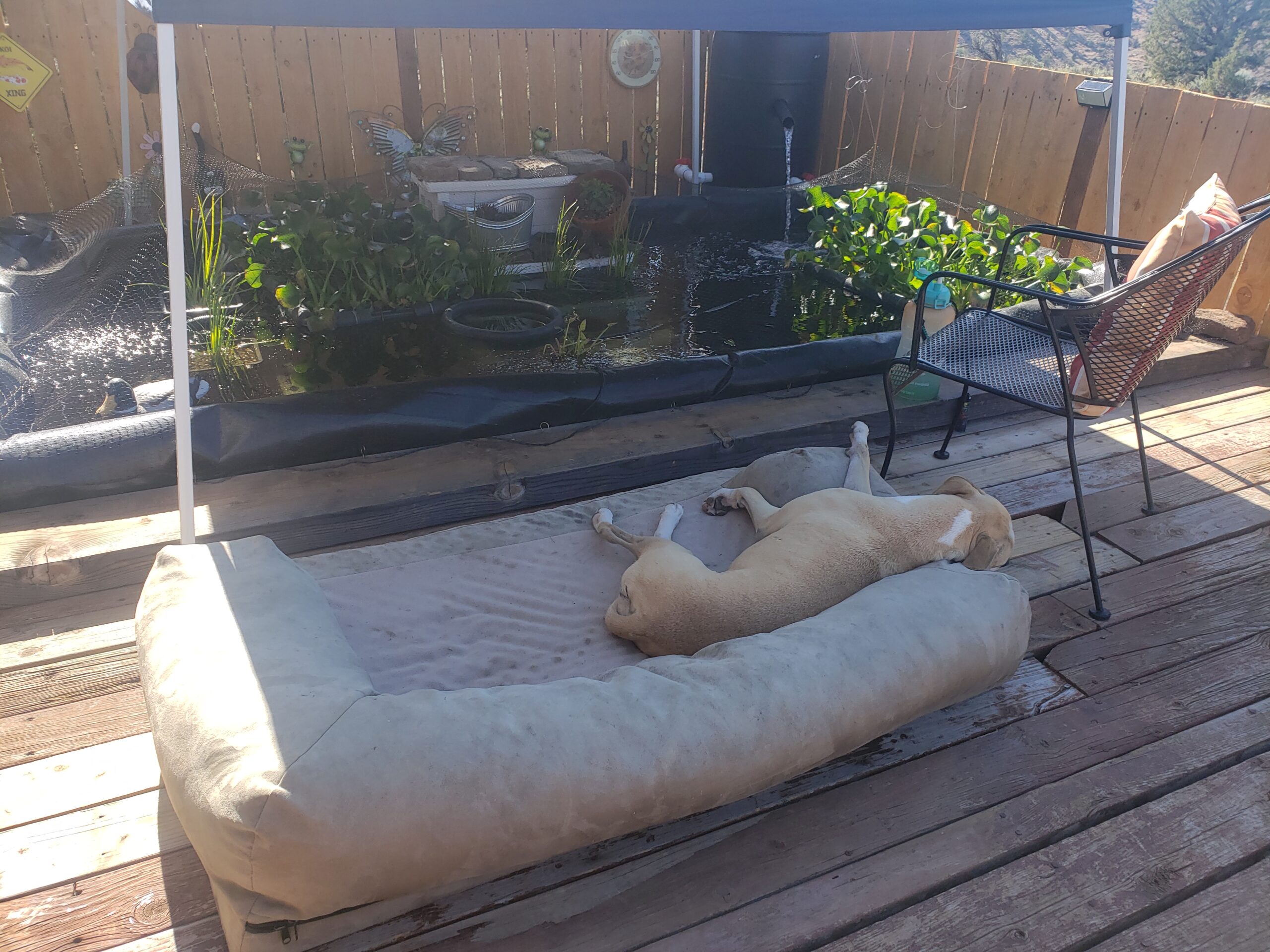 VIVOSUN 1982 GPH Submersible Water Pump, 110W Pond Pump, Ultra Quiet Aquarium Pump with 14.8FT Lift Height - Customer Photo 2