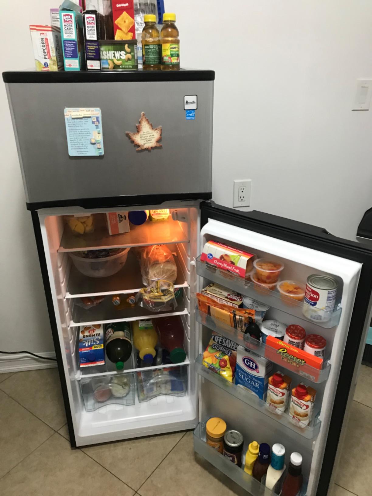 Avanti 15.6 cu. ft. Side-by-Side Apartment Refrigerator with Freezer, Compact Counter-Depth Fridge for Small Spaces, Stainless Steel - Customer Photo 1