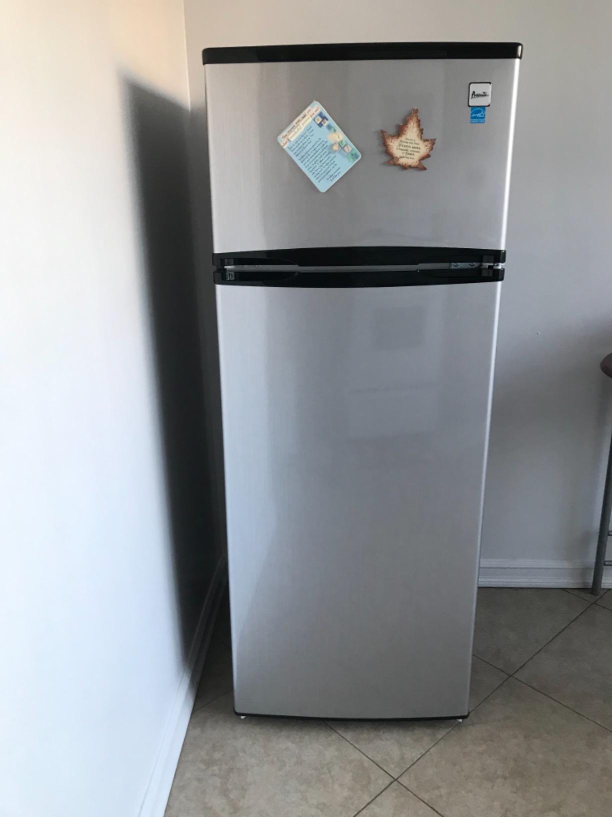 Avanti 15.6 cu. ft. Side-by-Side Apartment Refrigerator with Freezer, Compact Counter-Depth Fridge for Small Spaces, Stainless Steel - Customer Photo 2