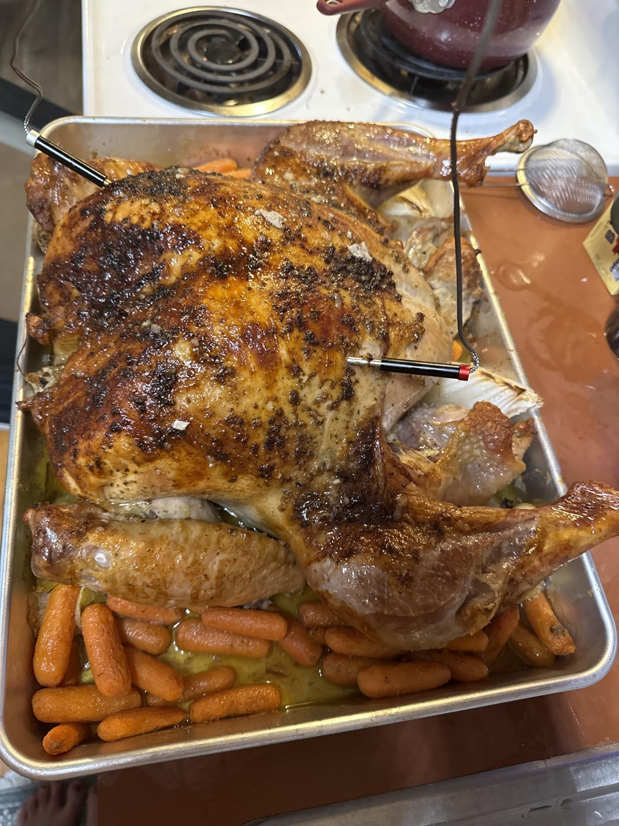 Govee Bluetooth Meat Thermometer, Wireless Meat Thermometer for Smoker Oven, Digital Grill Thermometer with 2 Probes, Timer Mode, Smart LCD Backlight BBQ Thermometer for Cooking Turkey Fish Beef - Customer Photo 2