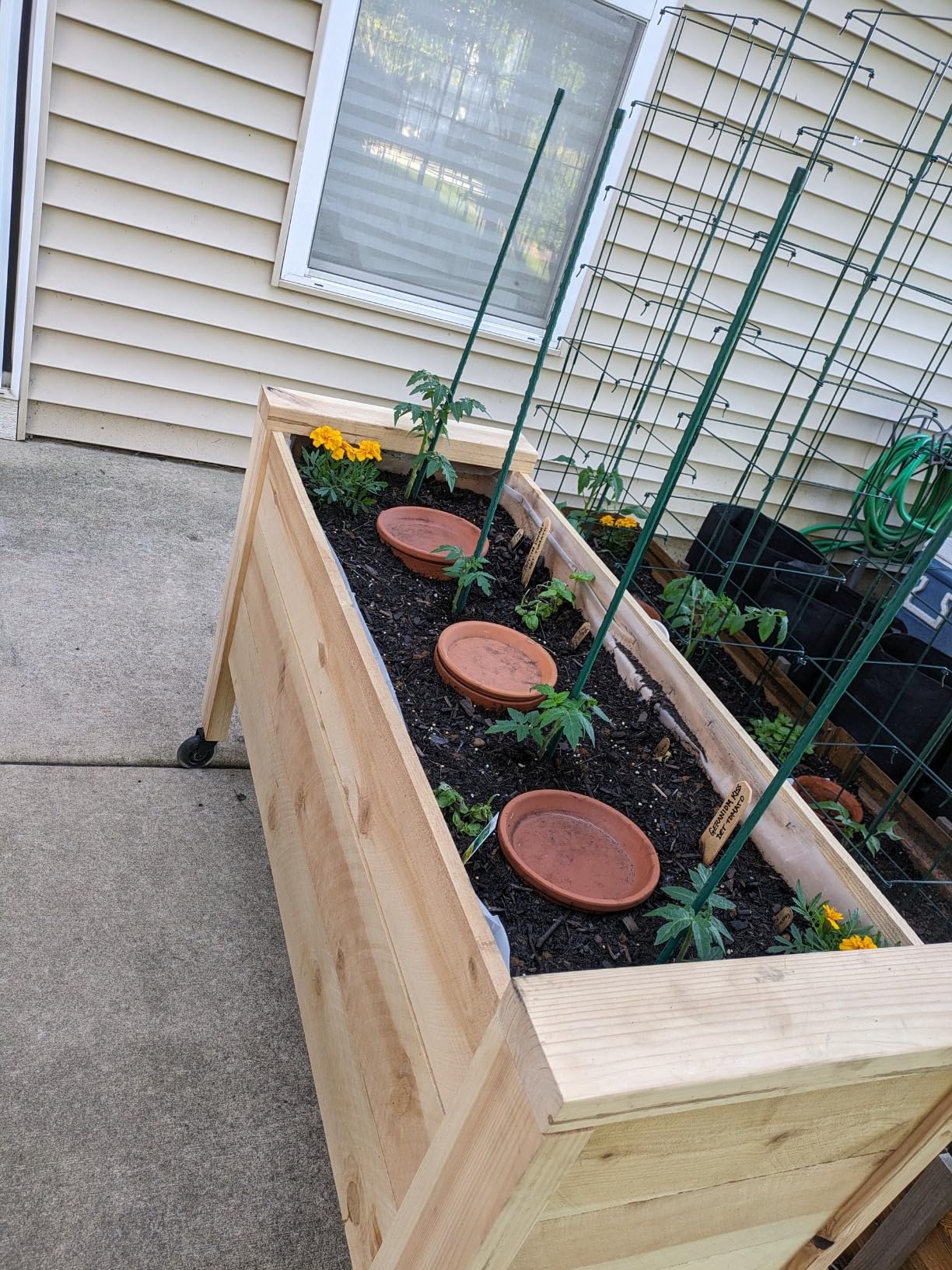 vensovo 6 Inch Terracotta & Clay Pots for Plant with Saucer - 4 Pack Medium Terra Cotta Planter with Drainage Hole, Flowerpot for Indoor Outdoor Plants, Crafts, Wedding Favor - Customer Photo 1