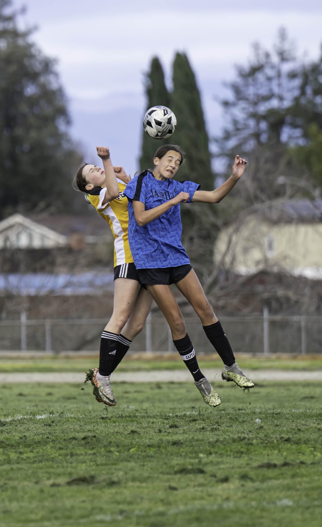 Nikon NIKKOR Z 70-200mm f/2.8 S | Professional large aperture telephoto zoom lens for Z series mirrorless cameras | Nikon USA Model - Customer Photo 4