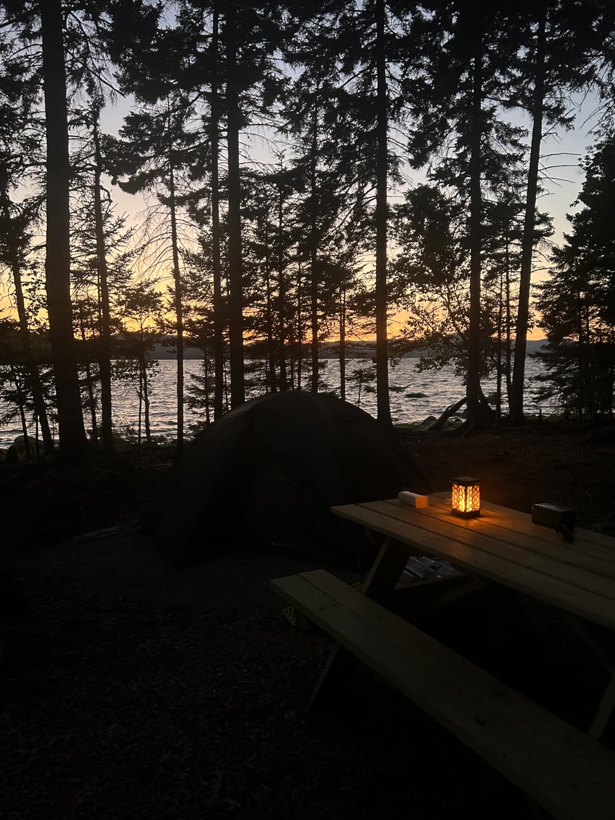 TomCare Solar Lanterns Outdoor Upgraded Flickering Flame Waterproof Hanging Lanterns Decorative Solar Powered LED Lights for Garden Patio Deck Yard, 2 Pack - Customer Photo 1