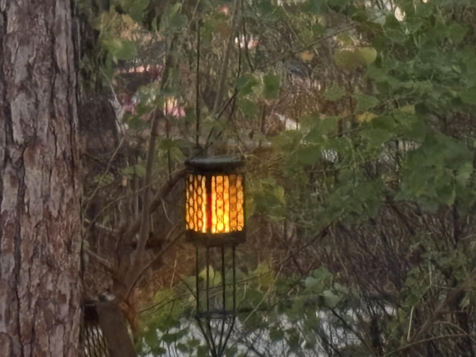 TomCare Solar Lanterns Outdoor Upgraded Flickering Flame Waterproof Hanging Lanterns Decorative Solar Powered LED Lights for Garden Patio Deck Yard, 2 Pack - Customer Photo 2