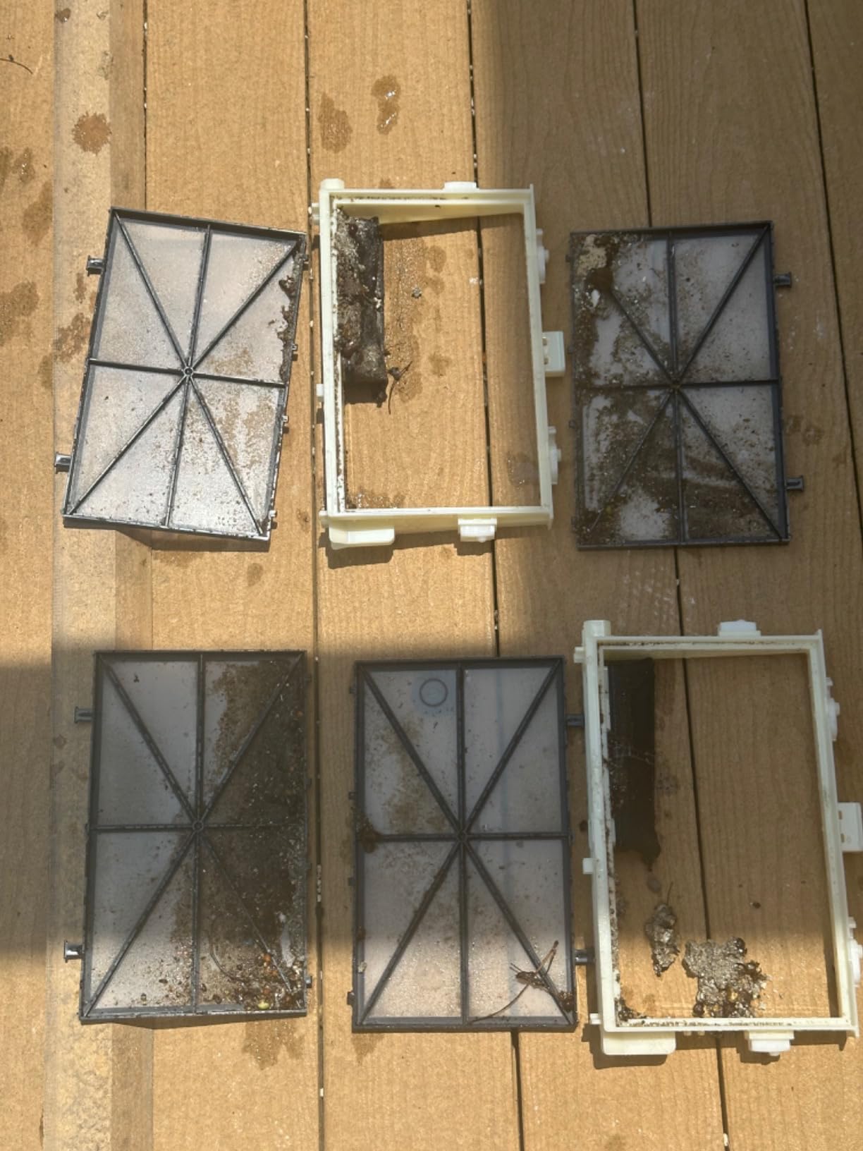 Dolphin Nautilus CC Supreme Wi-Fi Automatic Robotic Pool Vacuum Cleaner, Dual Drive, Waterline Scrubber Brush, Top Load Filter, Ideal for In-Ground Pools up to 50 FT - Customer Photo 2