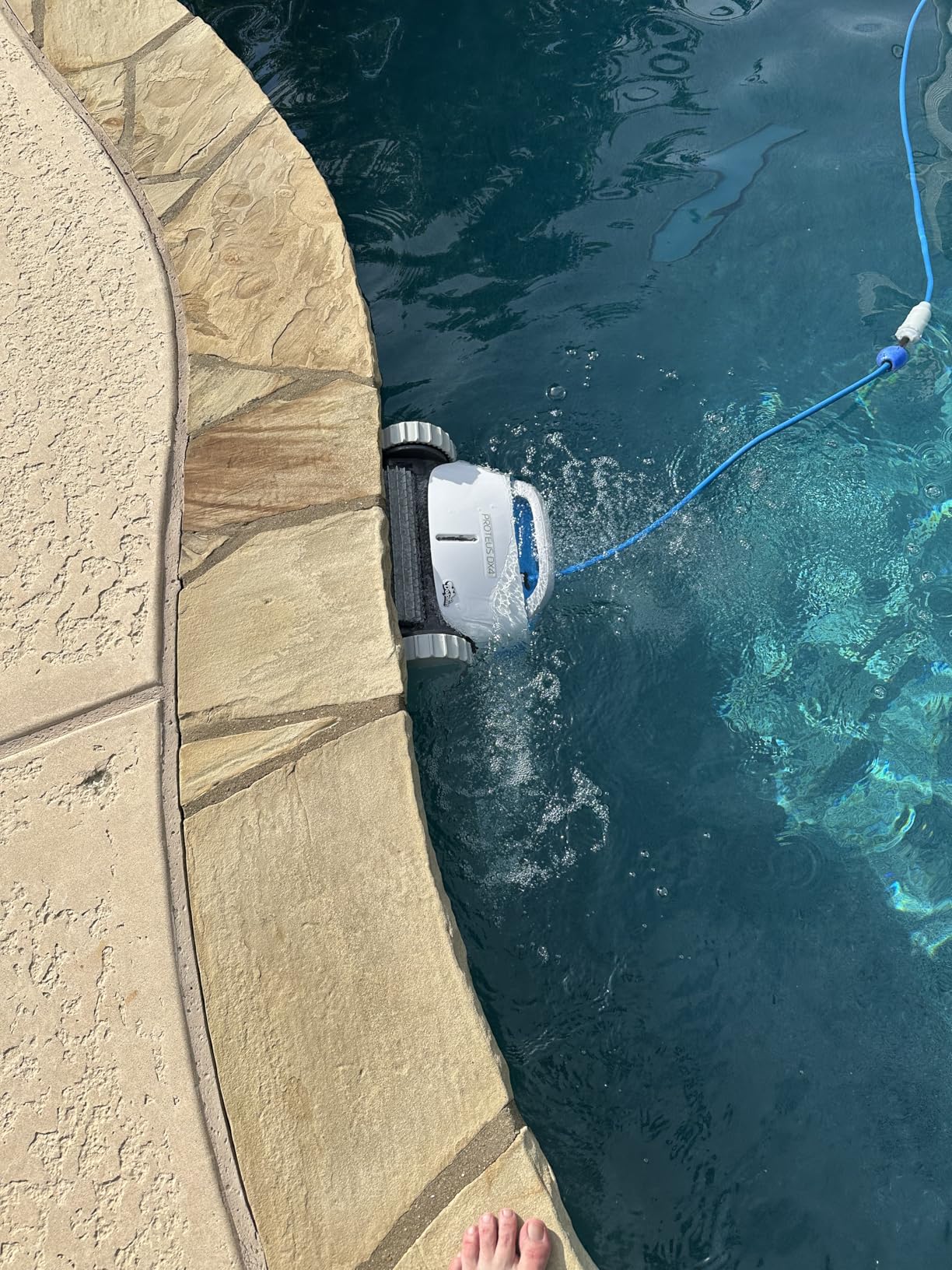 Dolphin Proteus DX4 Automatic Robotic Pool Vacuum Cleaner, Wall Climbing, Waterline Scrubber Brush, Ideal for In-Ground Pool up to 50 FT in Length - Customer Photo 1