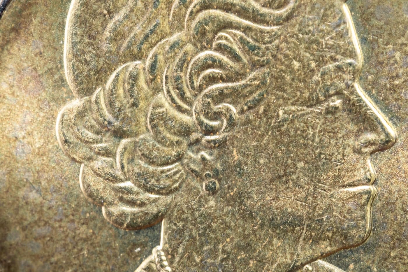 Venus Optics Laowa 65mm f/2.8 2X Ultra Macro APO Lens for FUJIFILM X - Customer Photo 2