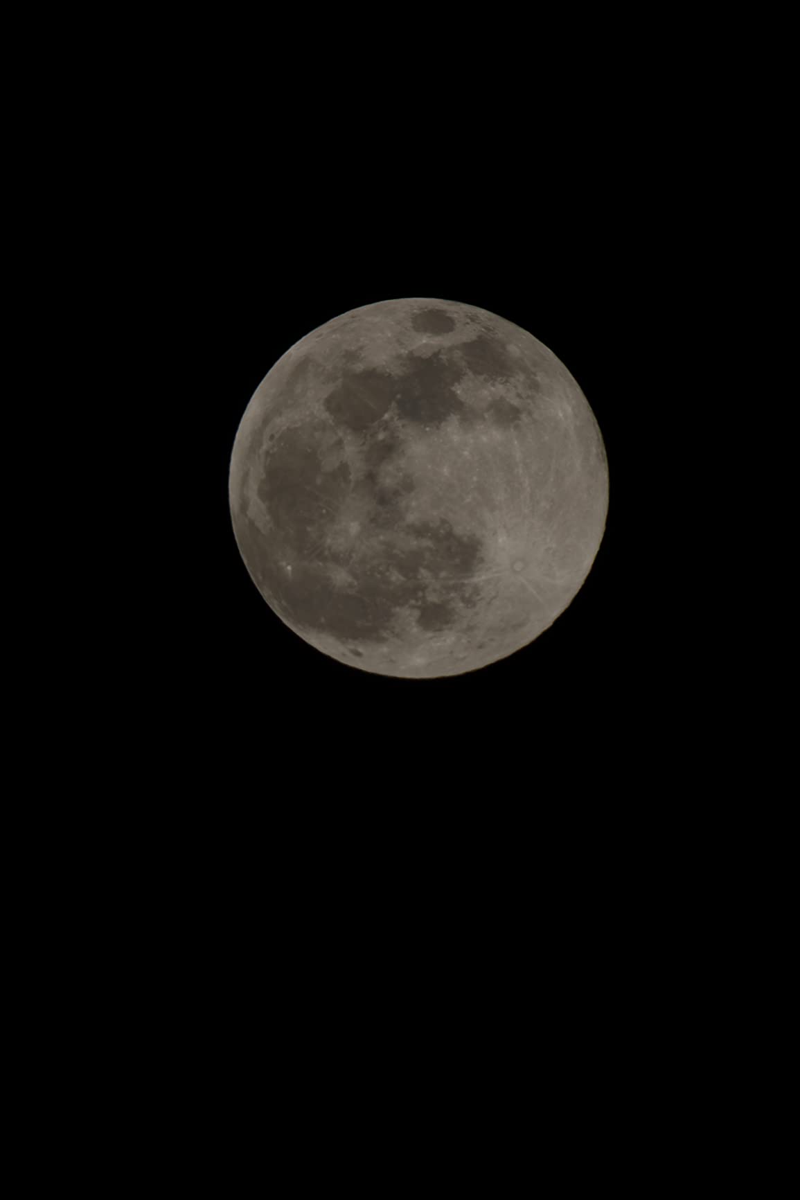 Canon RF24-105mm F4-7.1 is STM (4111C002) - Customer Photo 2