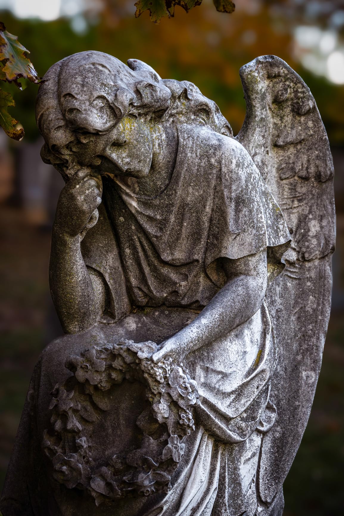 NIKKOR Z 24-200mm VR | Compact all-in-one telephoto zoom lens with image stabilization for Z series mirrorless cameras | Nikon USA Model - Customer Photo 1