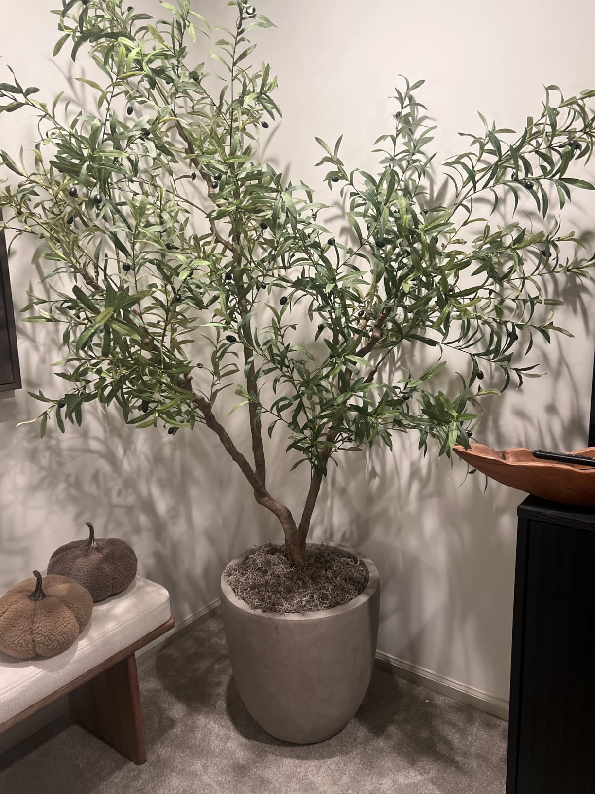 Kante 18 Inch Dia Round Concrete Planter, Indoor Outdoor Large Plant Pot with Drainage Hole and Rubber Plug for Home Patio Garden, Weathered Concrete customer photo 1