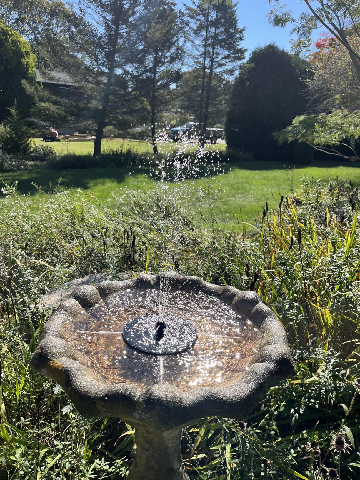 Mademax Solar Bird Bath Fountains, Upgrade 1.4W Solar Fountain Pump with 8 Nozzles & 4 Brackets, Free Standing Floating Solar Powered Water Fountain Pump for Bird Bath, Garden, Pond, Pool, Outdoor customer photo 2