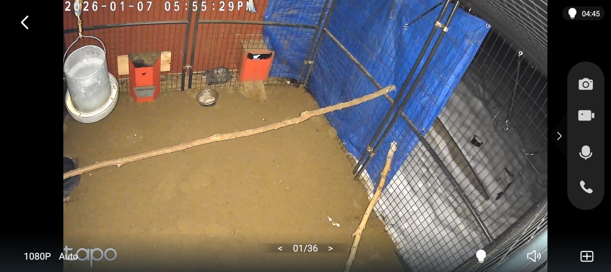 TP-Link Tapo 1080P Indoor Security Camera for Baby Monitor, Dog Camera w/Motion Detection, 2-Way Audio Siren, Night Vision - Customer Photo 2