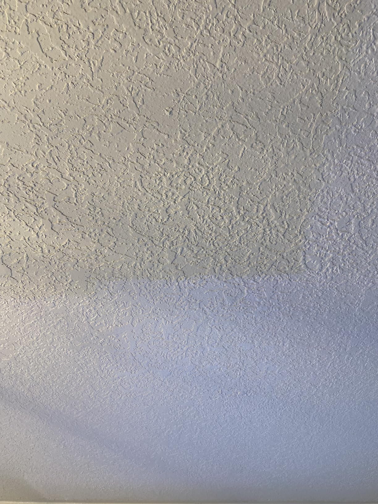 INSL-X Color-Changing Ceiling Paint, White, 1 Gallon - Customer Photo 1