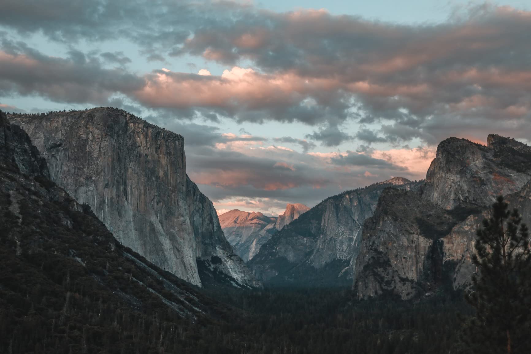 Canon EOS RP Full-Frame Mirrorless Interchangeable Lens Camera + RF24-105mm Lens F4-7.1 is STM Lens Kit- Compact and Lightweight for Traveling and Vlogging, Black (3380C132) - Customer Photo 1