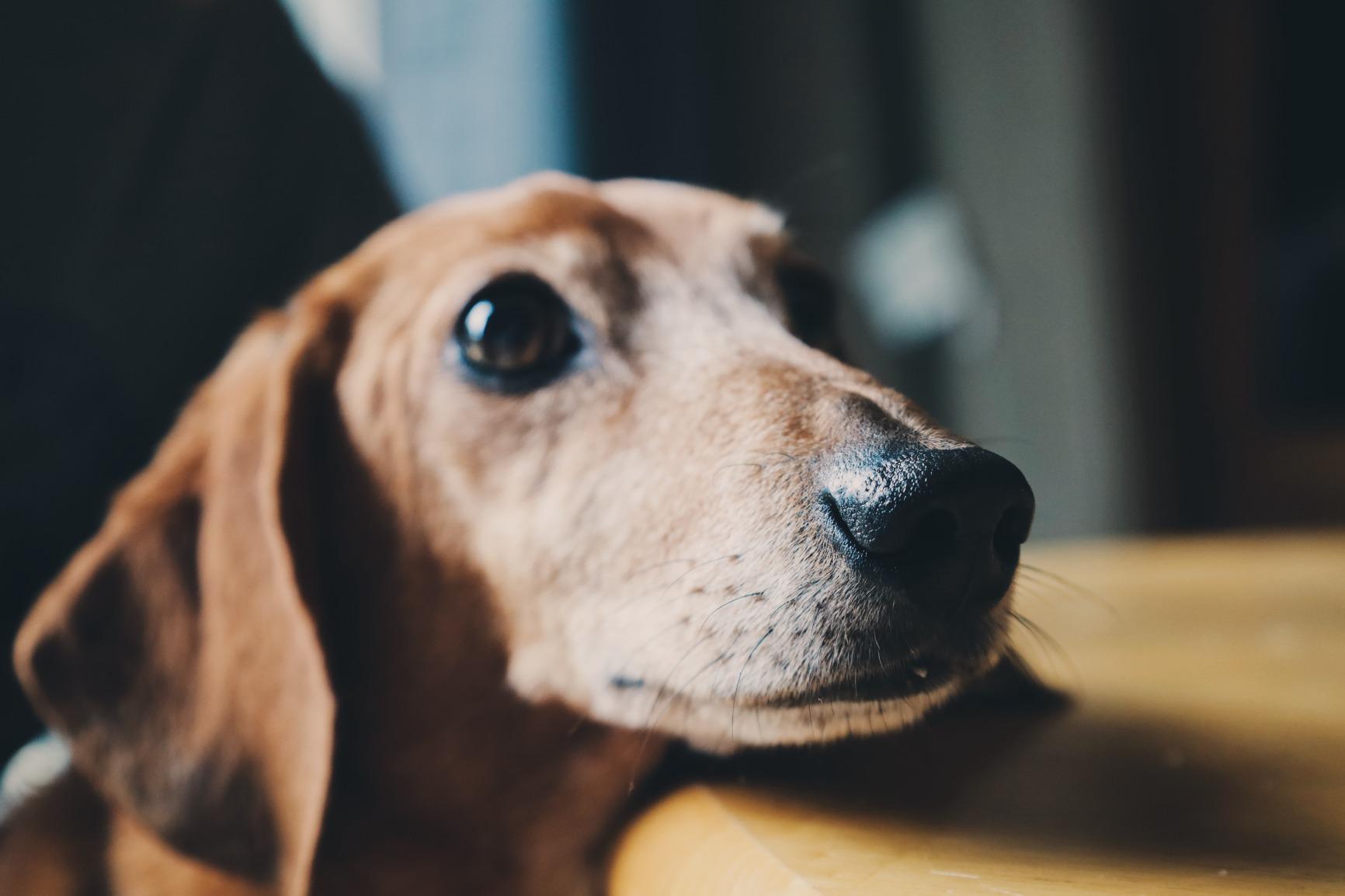 Canon EOS RP Full-Frame Mirrorless Interchangeable Lens Camera + RF24-105mm Lens F4-7.1 is STM Lens Kit- Compact and Lightweight for Traveling and Vlogging, Black (3380C132) - Customer Photo 2