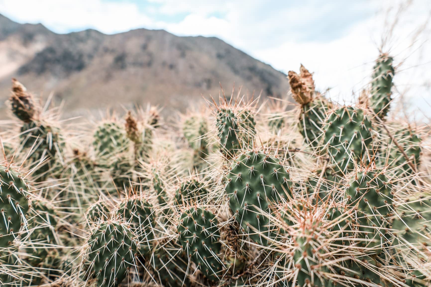 Canon EOS RP Full-Frame Mirrorless Interchangeable Lens Camera + RF24-105mm Lens F4-7.1 is STM Lens Kit- Compact and Lightweight for Traveling and Vlogging, Black (3380C132) - Customer Photo 4