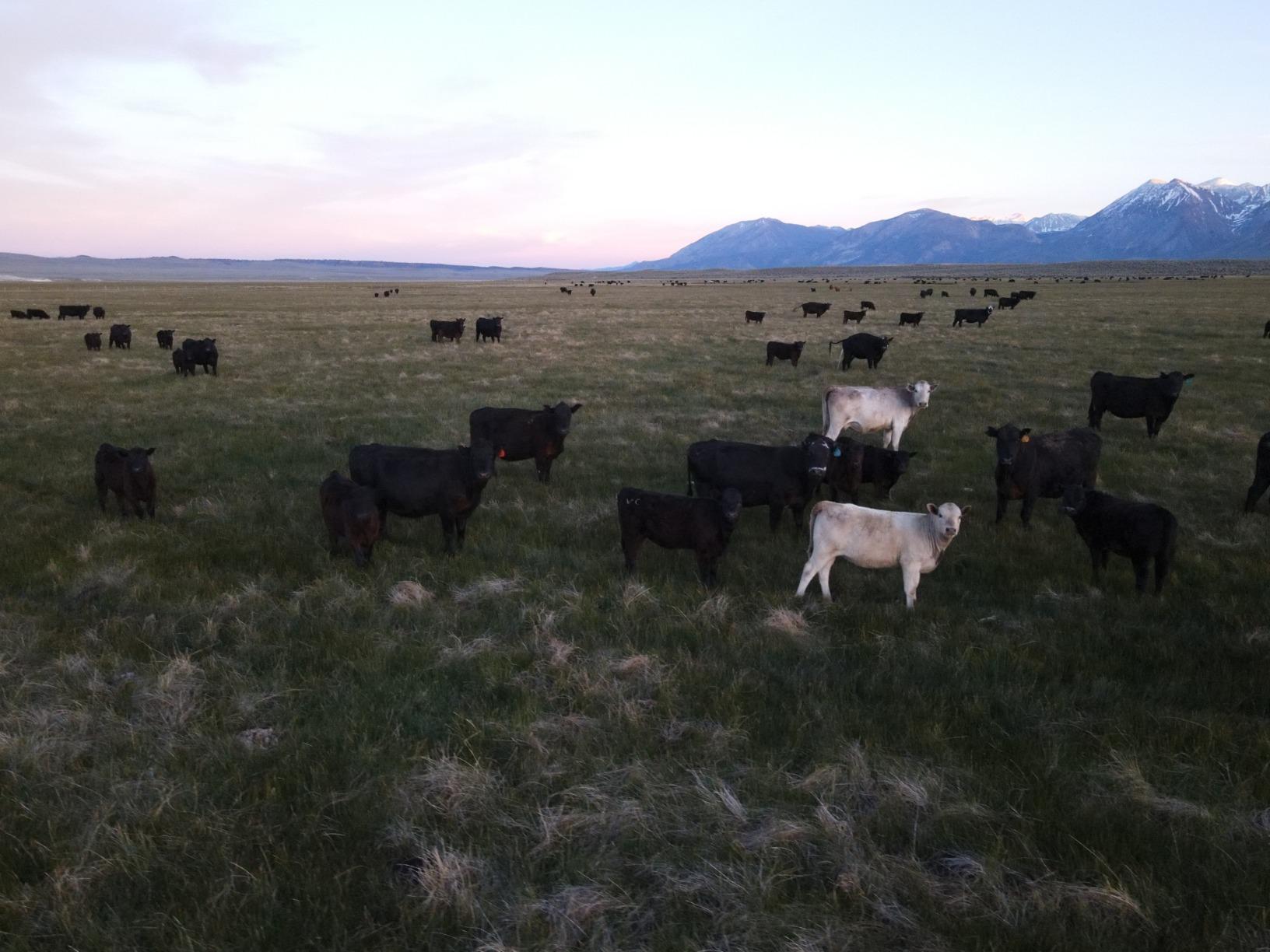 DJI Mavic Air 2 Fly More Combo - Drone Quadcopter UAV with 48MP Camera 4K Video 8K Hyperlapse 1/2