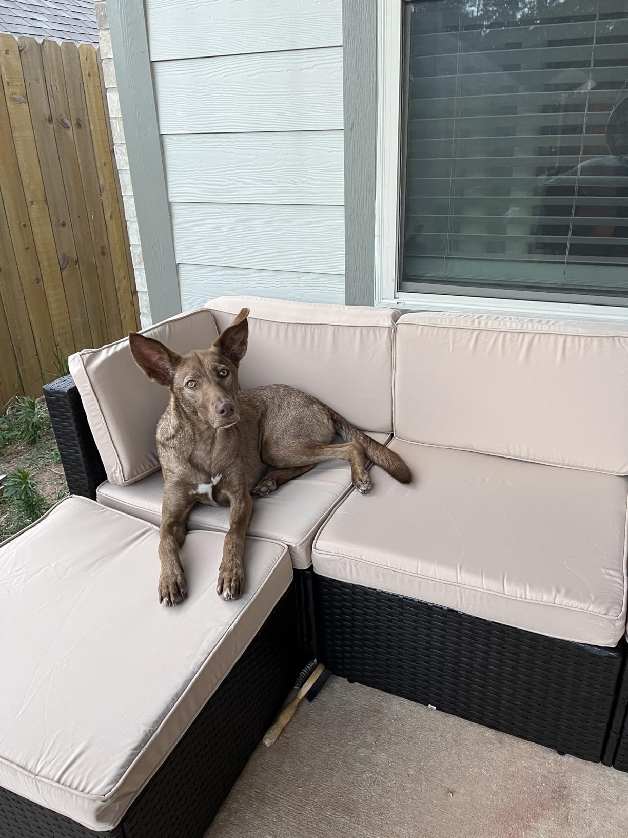 Vongrasig 6 Piece Patio Furniture Set, Small Outdoor Sectional Sofa Couch, All Weather PE Wicker L-Shaped Corner Patio Sofa Garden Backyard Patio Conversation Set w/Glass Table, Beige - Customer Photo 1