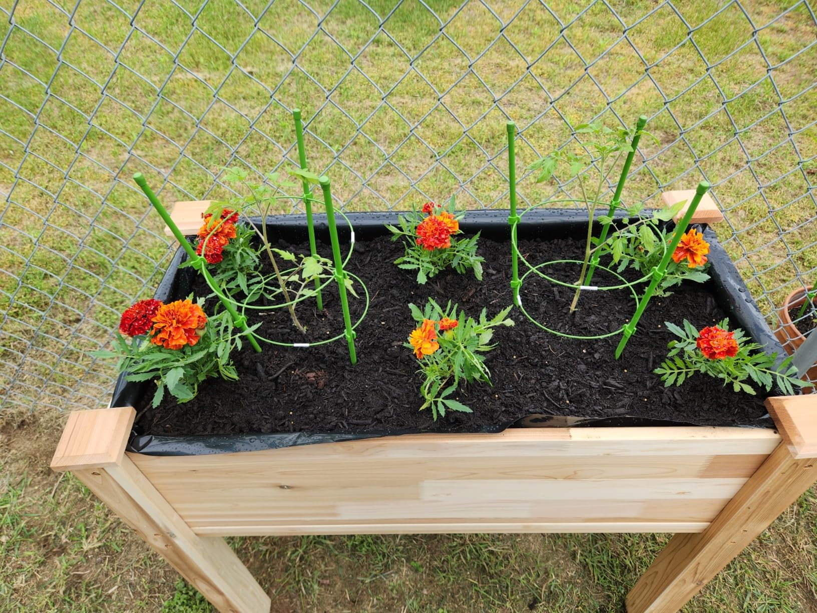 Jumbl, Cedar Raised Garden Bed, Elevated Wood Planter for Growing Fresh Herbs, Vegetables, Flowers, Succulents - 72x23x30