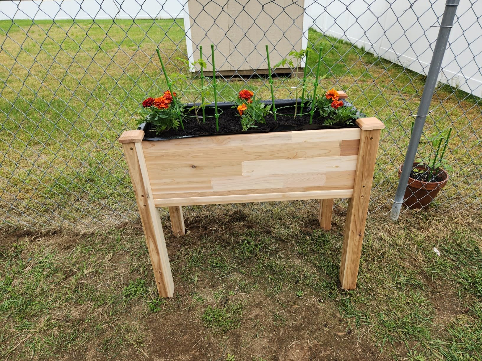 Jumbl, Cedar Raised Garden Bed, Elevated Wood Planter for Growing Fresh Herbs, Vegetables, Flowers, Succulents - 72x23x30