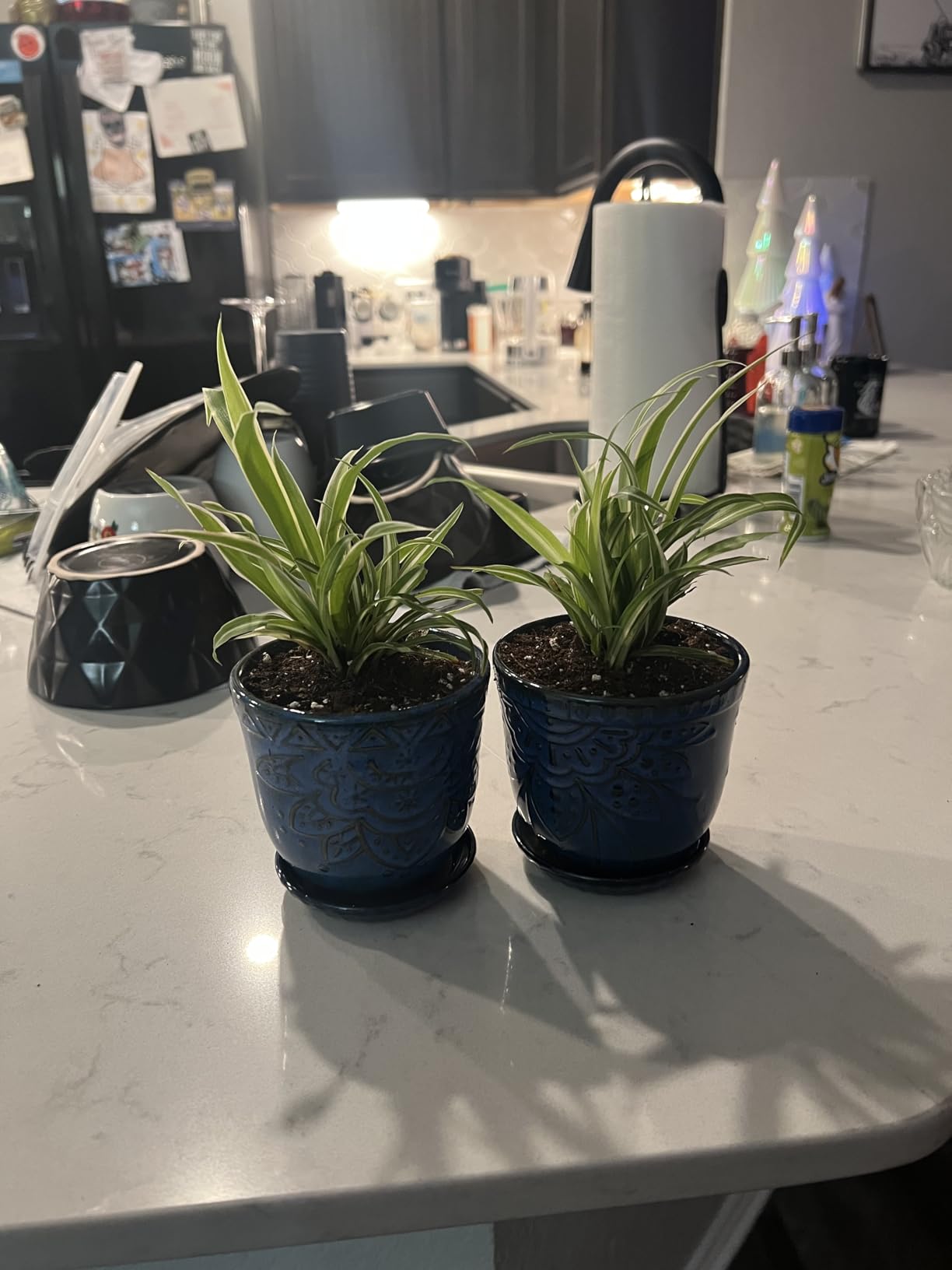 Gepege 6 Inch Beaded Ceramic Planter Set of 2 with Drainage Hole and Saucer for Plants, Indoor-Outdoor Large Round Succulent Orchid Flower Pot (Smoked Gray, Inner-pots not Larger Than 5 Inch) - Customer Photo 1