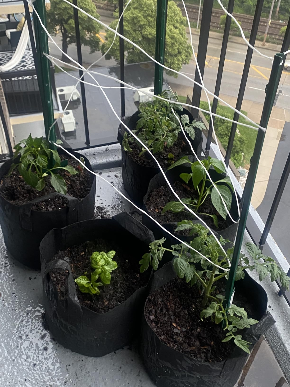 JERIA 12-Pack 10 Gallon, Vegetable/Flower/Plant Grow Bags, Aeration Fabric Pots with Handles (Black), Come with 12 Pcs Plant Labels - Customer Photo 2