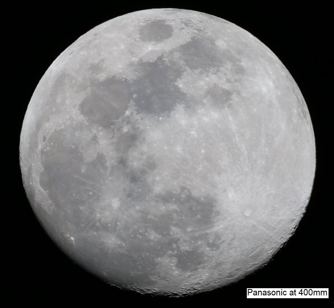 OM SYSTEM Olympus M.Zuiko Digital 100-400mm F5.0-6.3 is for Micro Four Thirds System Camera, Outdoor Bird Wildlife, Weather Sealed Design, Telephoto Compatible with Teleconverter - Customer Photo 1