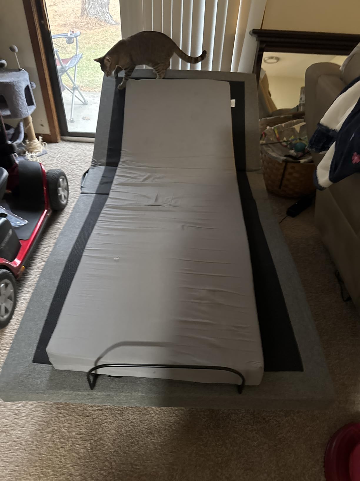 Best Choice Products Ergonomic Queen Size Adjustable Bed Frame, Electric Base w/Wireless Remote Control, Nightlight, Massager, 2 USB Ports - Customer Photo 1