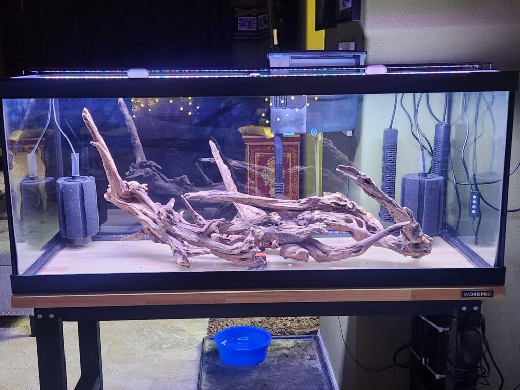 Best Workbenches for Woodworking