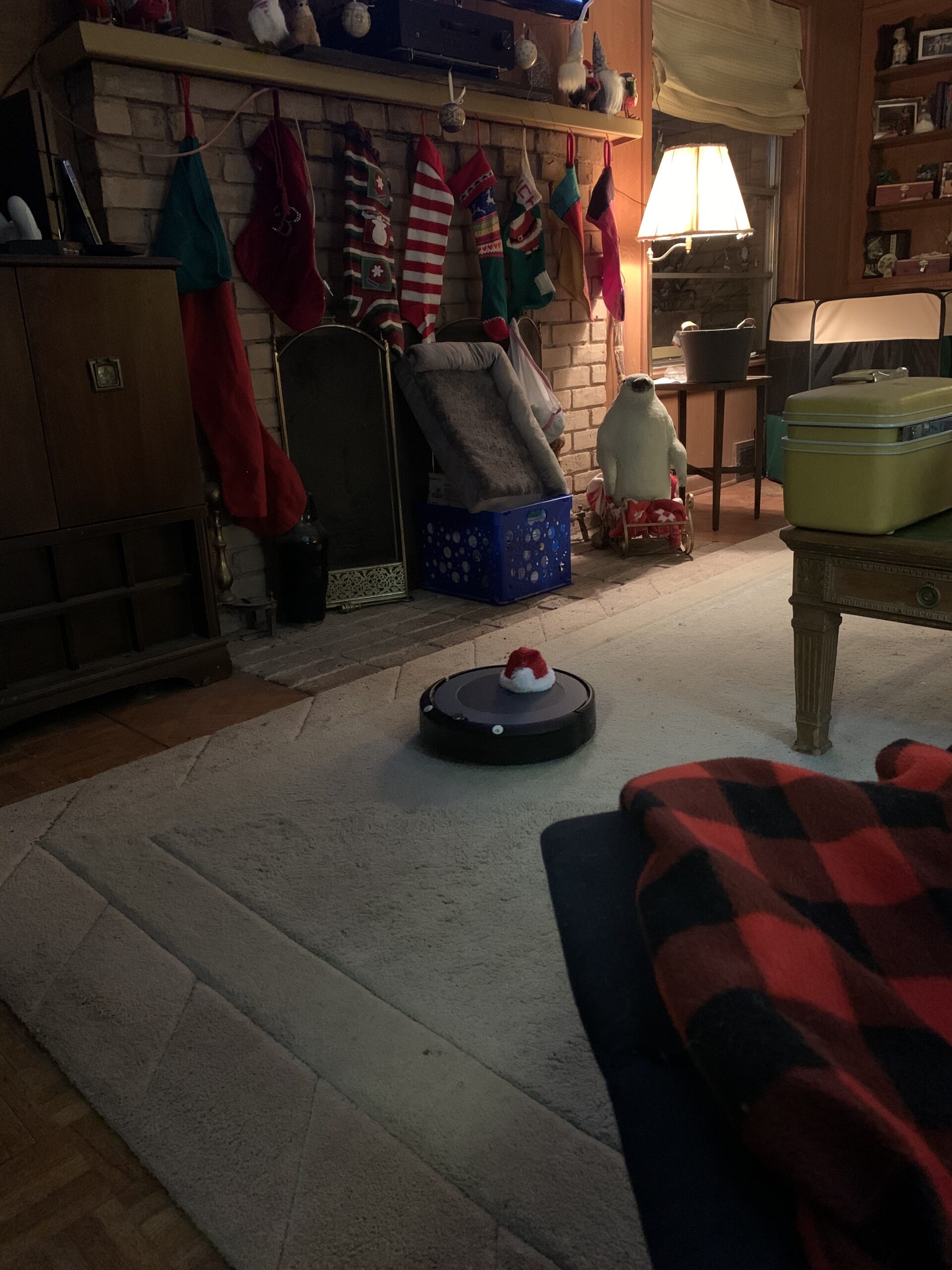 iRobot Roomba i3+ EVO (3550) Self-Emptying Robot Vacuum – Now Clean by Room with Smart Mapping, Empties Itself for Up to 60 Days, Works with Alexa, Ideal for Pet Hair, Carpets - Customer Photo 1