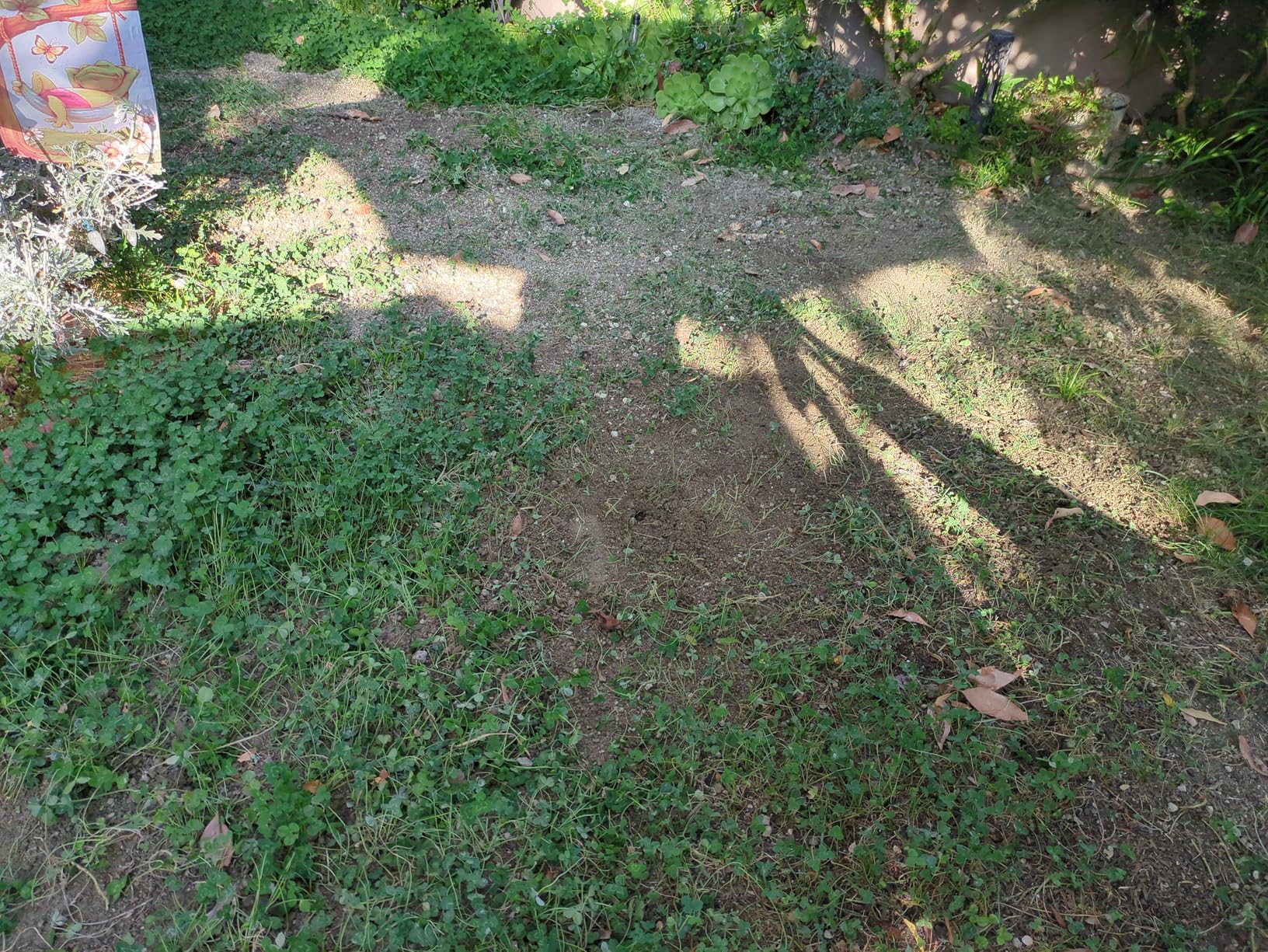 Livin' Well Solar Sonic Pest Repeller Stakes - 4pk Outdoor Pest Repellent with 5,000 Feet Range, Solar Powered Animal Control, Rodent Repellent and Deterrent for Mole, Vole, Gopher - Customer Photo 2