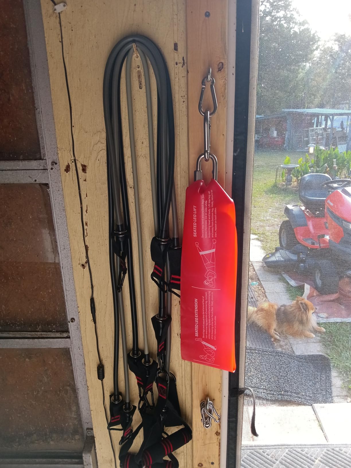 HPYGN Resistance Bands, Exercise Bands with Handles, Fitness Bands, Workout Bands with Door Anchor and Ankle Straps, for Heavy Resistance Training, Physical Therapy, Shape Body, Yoga, Home Workout Set - Customer Photo 2