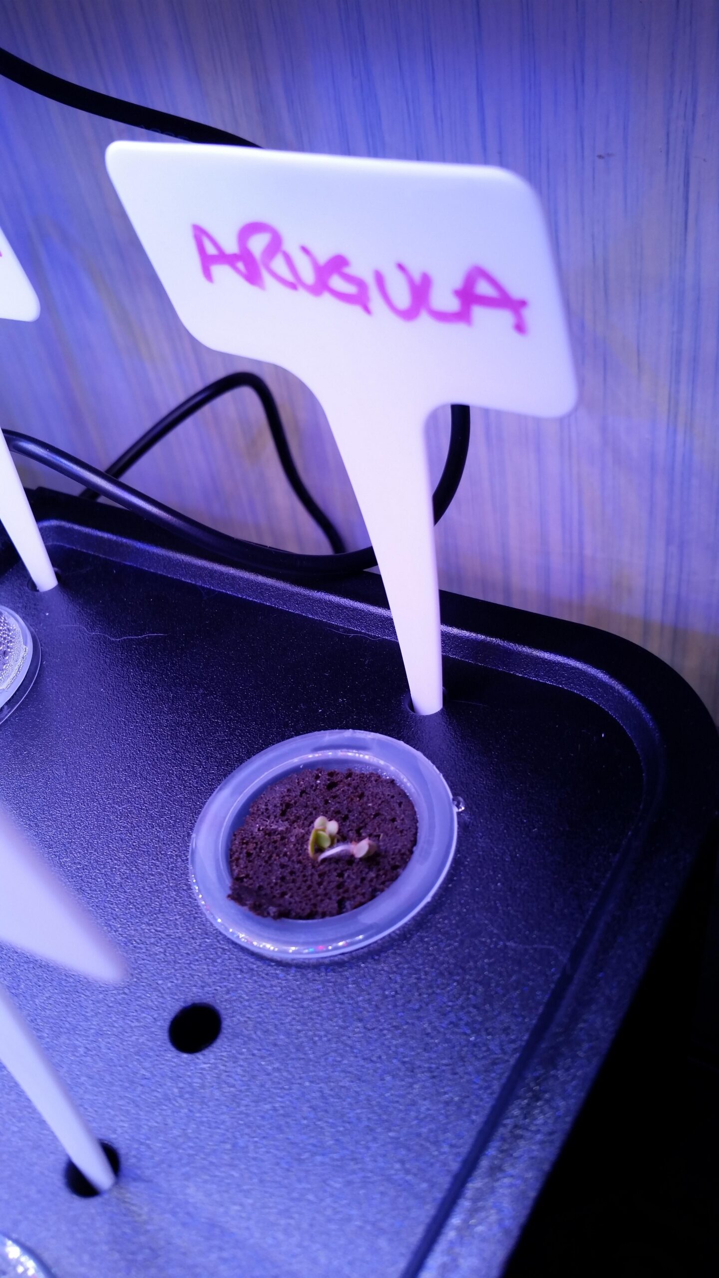 iDOO Hydroponics Growing System Kit 12Pods, Indoor Herb Garden System, with LED Grow Light, Built-in Fan, Auto-Timer, Adjustable Height Up to 11.3