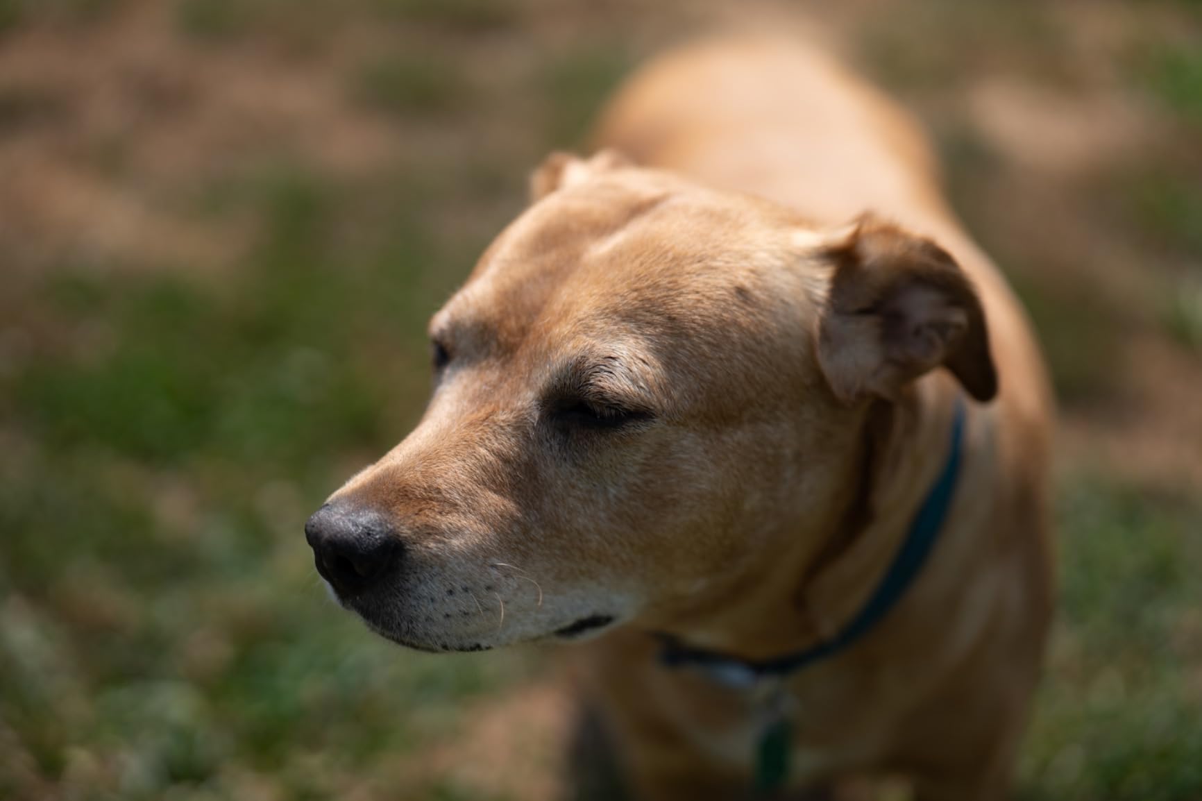 Panasonic LUMIX S5 Full Frame Mirrorless Camera, 4K 60P Video Recording with Flip Screen & WiFi, L-Mount, 5-Axis Dual I.S., DC-S5BODY (Black) - Customer Photo 4