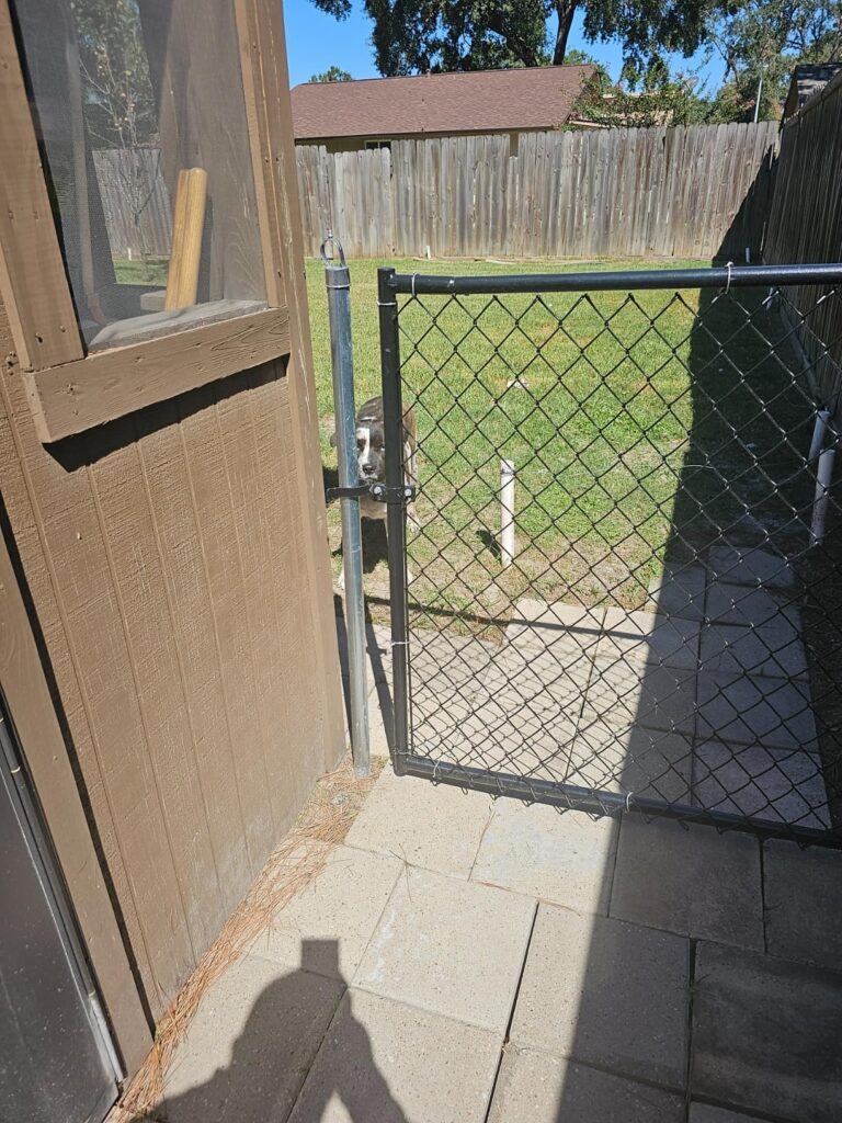 10 Best Chain Link Fence Kits