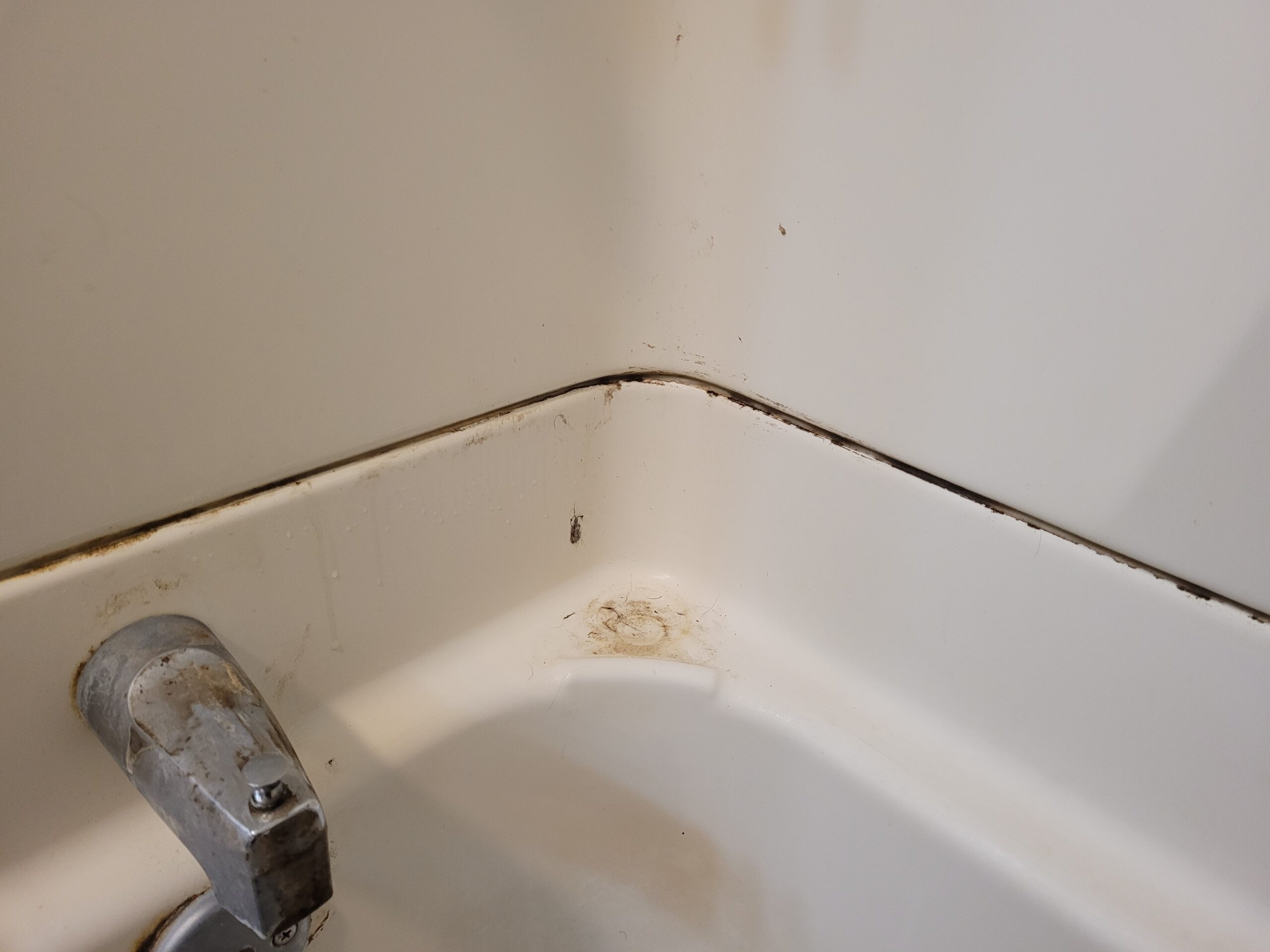 Hoover Steam Complete Pet Steam Mop, Hard Floor Cleaner Machine, 10-in-1 Multipurpose Cleaner Machine, Removable Handheld Steamer, Ideal for Hardwood, Vinyl, Tile, Grout and More - Customer Photo 2