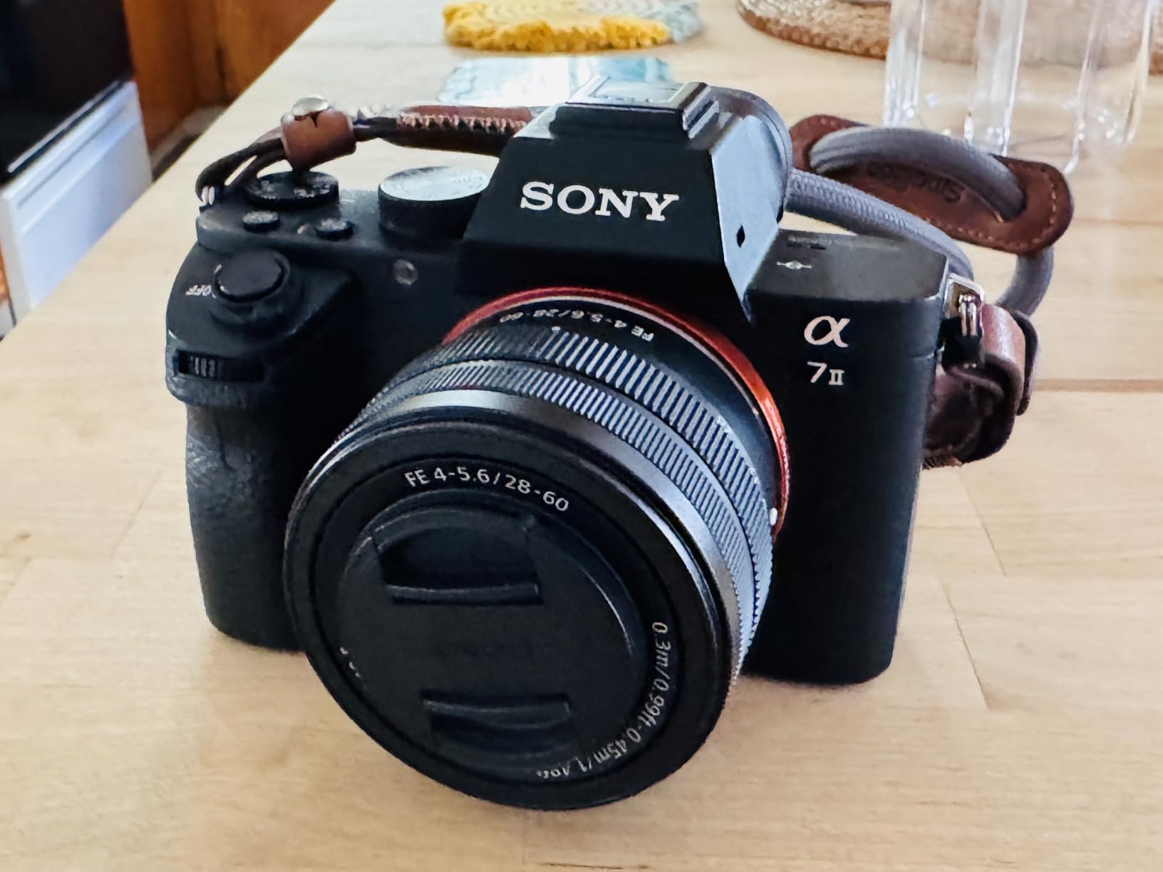 Sony FE 28-60mm F4-5.6 Full-Frame Compact Zoom Lens (SEL2860) - Customer Photo 1